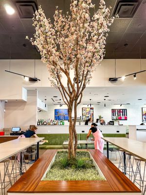 House of Brunch by null