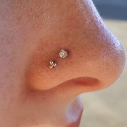 The Piercing Bar