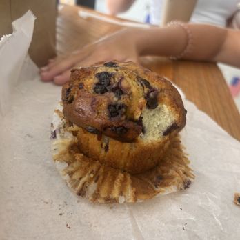 Caffeinated Bakery - Blueberry Glorious Morning Muffin - Coffee & Tea Near Me - Clearwater, Florida Caffeinated Bakery - Blueberry Glorious Morning Muffin - Coffee & Tea Near Me - Clearwater, Florida