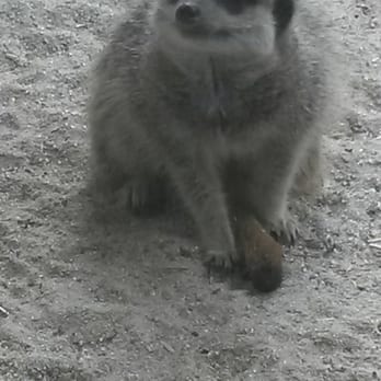Dublin Zoo - Zoos Near Me - Dublin, D Dublin Zoo - Zoos Near Me - Dublin, D