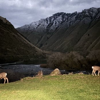 Salmon Rapids Lodge - Deer - Hotels Near Me - Riggins, Idaho