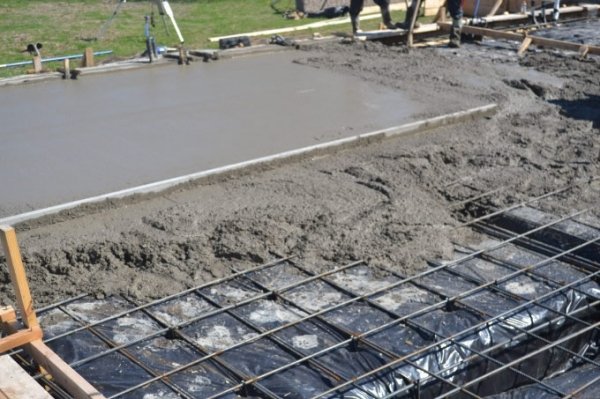 Slide of Genes Construction