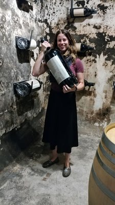 Casarena Bodega y Viñedos by null