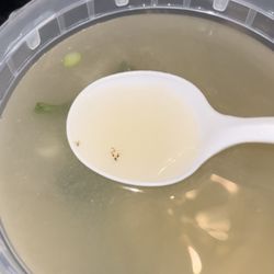 Sake II - Roach in Miso Soup
