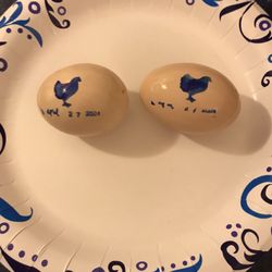 Fulton Farms - Eggs from Garrett!