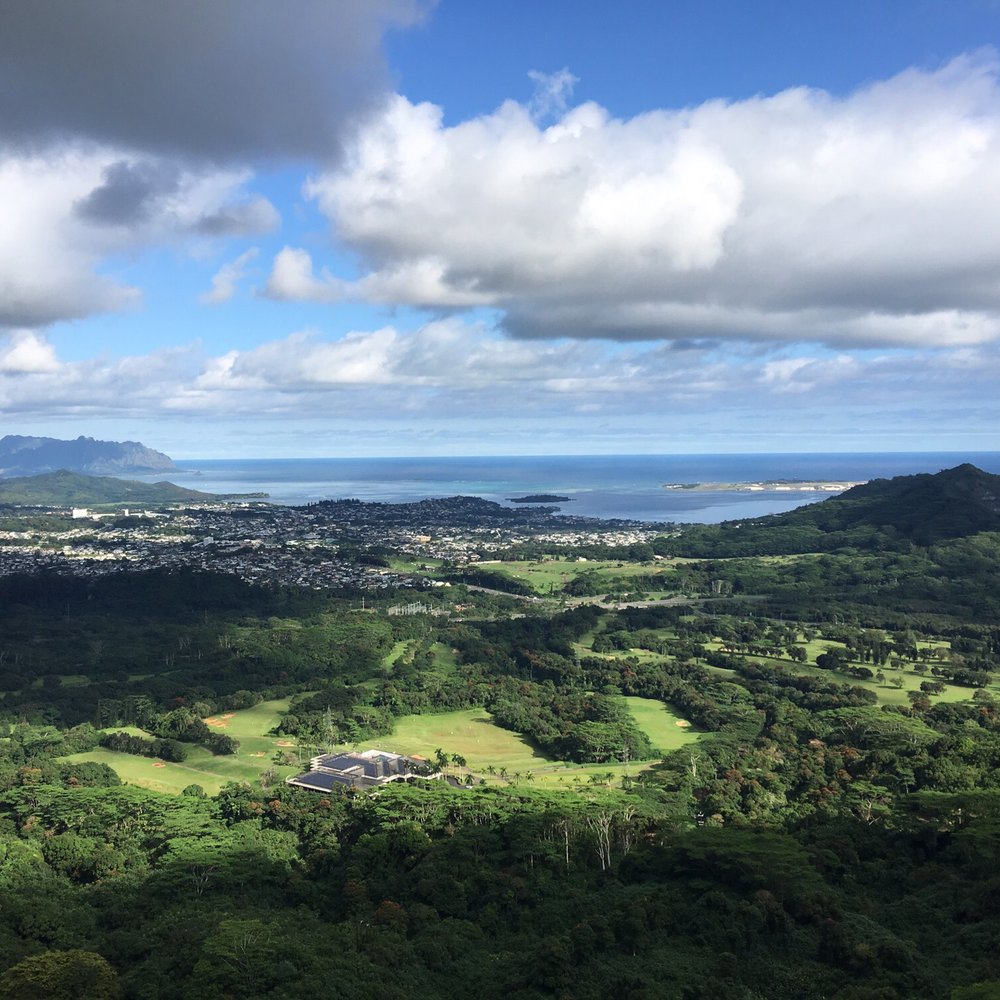 Kona Mountain Coffee - Coffee & Tea Near Me - Honolulu, Hawaii