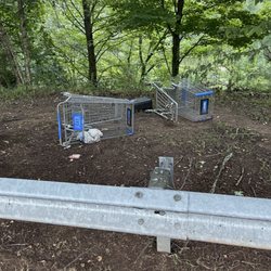 Walmart Supercenter - Walmart shopping carts with thrash and on ground