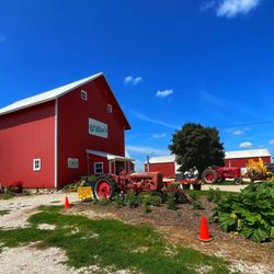 Wiltse's Farm