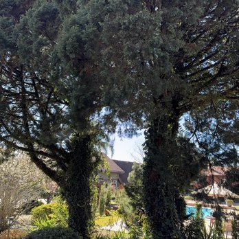 Hotel Canto Verde - Hotels Near Me - Gramado, RS