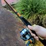 Photo of Bass Pro Shops