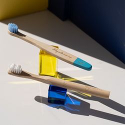 Tiny Tooth Co.