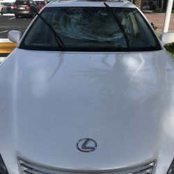 The Auto Glass Company