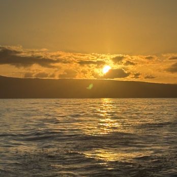 Sea Maui - Maui sunset - Boat Charters Near Me - Lahaina, Hawaii Sea Maui - Maui sunset - Boat Charters Near Me - Lahaina, Hawaii