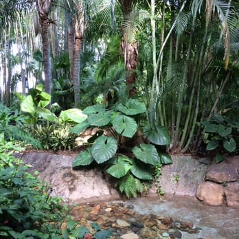 Discovery Cove - Amusement Parks Near Me - Orlando, Florida