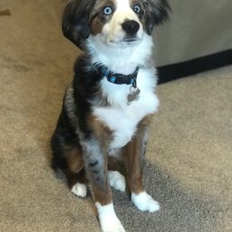 Finn (5 months) Finn (5 months)