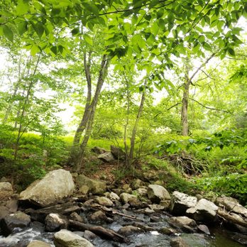 7 Lakes Drive - Hiking Near Me