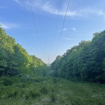Patapsco Valley State Park - Parks Near Me - Ellicott City, Maryland