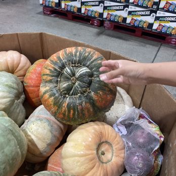 Costco - Pumpkins - Wholesale Stores Near Me - Alhambra, California Costco - Pumpkins - Wholesale Stores Near Me - Alhambra, California