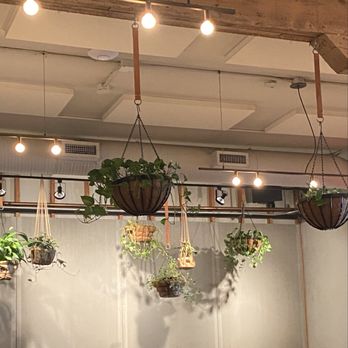 Ten Foot Henry - Indoor hanging plants - Canadian (New) Near Me - Calgary, Alberta Ten Foot Henry - Indoor hanging plants - Canadian (New) Near Me - Calgary, Alberta