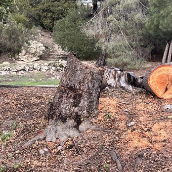 J & J Tree Services - Was supposed to grind stump but didn't. - Tree Services Near Me
