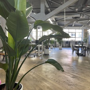 Cowork + Connect - Coworker area - Shared Office Spaces Near Me - San Diego, California Cowork + Connect - Coworker area - Shared Office Spaces Near Me - San Diego, California