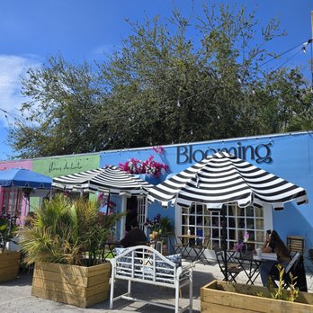 Blooming Floral Cafe - Coffee & Tea Near Me - Tampa, Florida