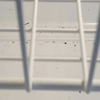 House Cleaning Specialists - Regrigerator not cleaned behind bins - Home Cleaning Near Me