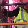 City Steel Fencing