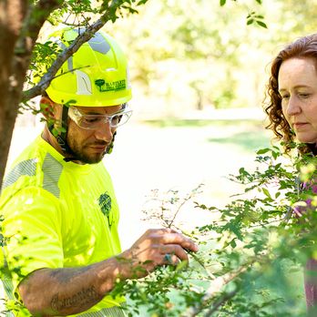 Bartlett Tree Experts - Kelowna - Tree Services Near Me - Kelowna, British Columbia