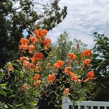 Frelinghuysen Arboretum - Botanical Gardens Near Me - Morristown, New Jersey