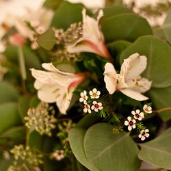 Debbi's Flowers
