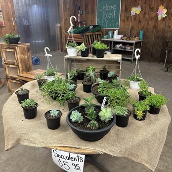 Eddydale Farm Stand - Fruits & Veggies Near Me - Ithaca, New York
