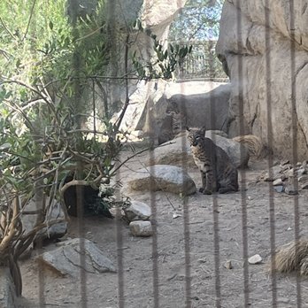 The Living Desert - Zoos Near Me - Palm Desert, California The Living Desert - Zoos Near Me - Palm Desert, California