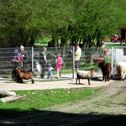 Streichelzoo