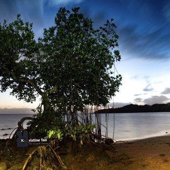 Kualoa A Campground - Campgrounds Near Me - Kaneohe, Hawaii