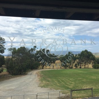 Yering Station Winery - tasting room views - Australian Near Me - Yering, VIC