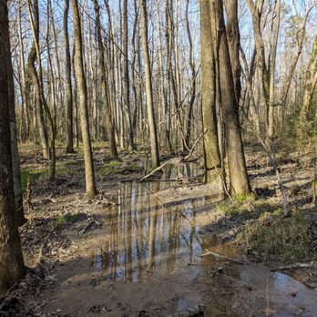 Evergreen Nature Preserve - Parks Near Me - Charlotte, North Carolina Evergreen Nature Preserve - Parks Near Me - Charlotte, North Carolina