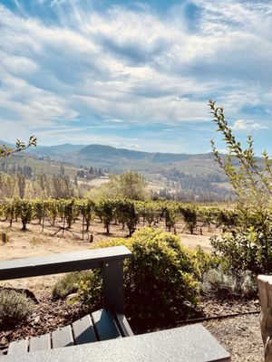Analemma Wines by null