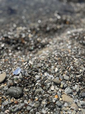 Glass Beach by null
