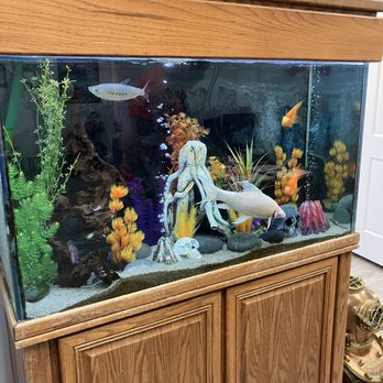 New World Auto Transport - Fish tank - Self Storage Near Me - Katy, Texas New World Auto Transport - Fish tank - Self Storage Near Me - Katy, Texas