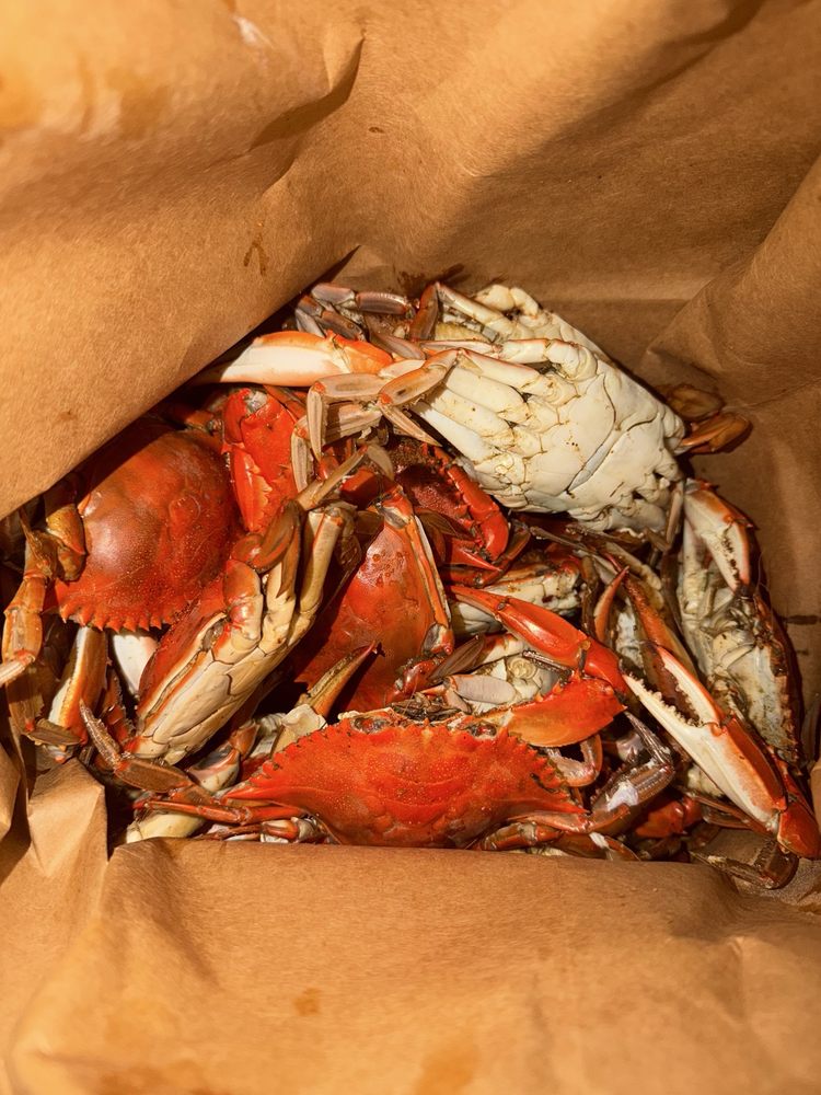 Food from Archar Seafood