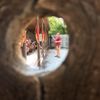 YMCA Camp Classen gift card