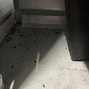 Ranpac Self Storage - Mouse poop in unit - Self Storage Near Me - Murrieta, California