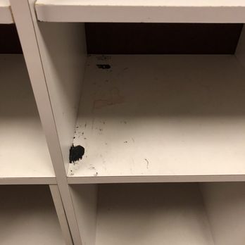Springfield YMCA - Never know what disgusting thing you'll find next at the healthplex - Gyms Near Me - Springfield, Pennsylvania Springfield YMCA - Never know what disgusting thing you'll find next at the healthplex - Gyms Near Me - Springfield, Pennsylvania