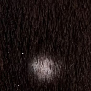 Fur Babes Spa - Bloody Nick - Pet Groomers Near Me - Long Beach, California Fur Babes Spa - Bloody Nick - Pet Groomers Near Me - Long Beach, California