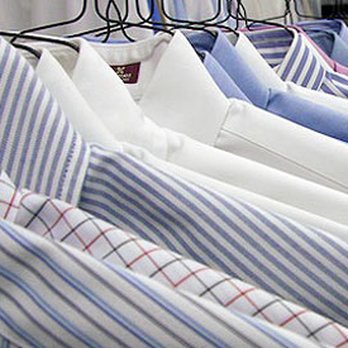 Perfect Laundry New York City Bed Bugs - Pest Control Near Me - Brooklyn, New York Perfect Laundry New York City Bed Bugs - Pest Control Near Me - Brooklyn, New York