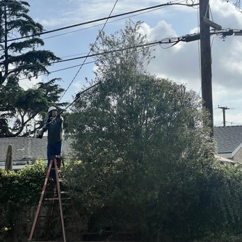 Planet Tree Service - During - Tree Services Near Me - Hawaiian Gardens , California Planet Tree Service - During - Tree Services Near Me - Hawaiian Gardens , California