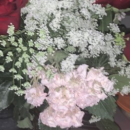 Sad hydrangeas died.