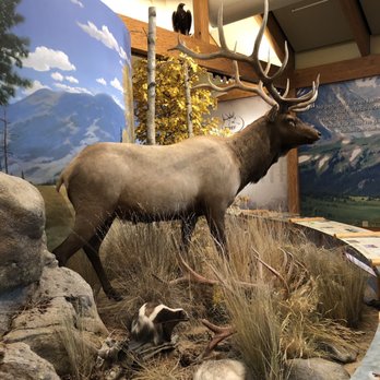 Rocky Mountain Elk Foundation - Museums Near Me - Missoula, Montana Rocky Mountain Elk Foundation - Museums Near Me - Missoula, Montana