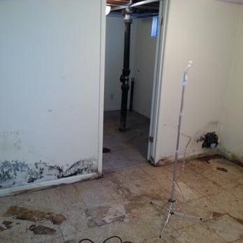 Bio Clean 911 - Damage Restoration Near Me Bio Clean 911 - Damage Restoration Near Me